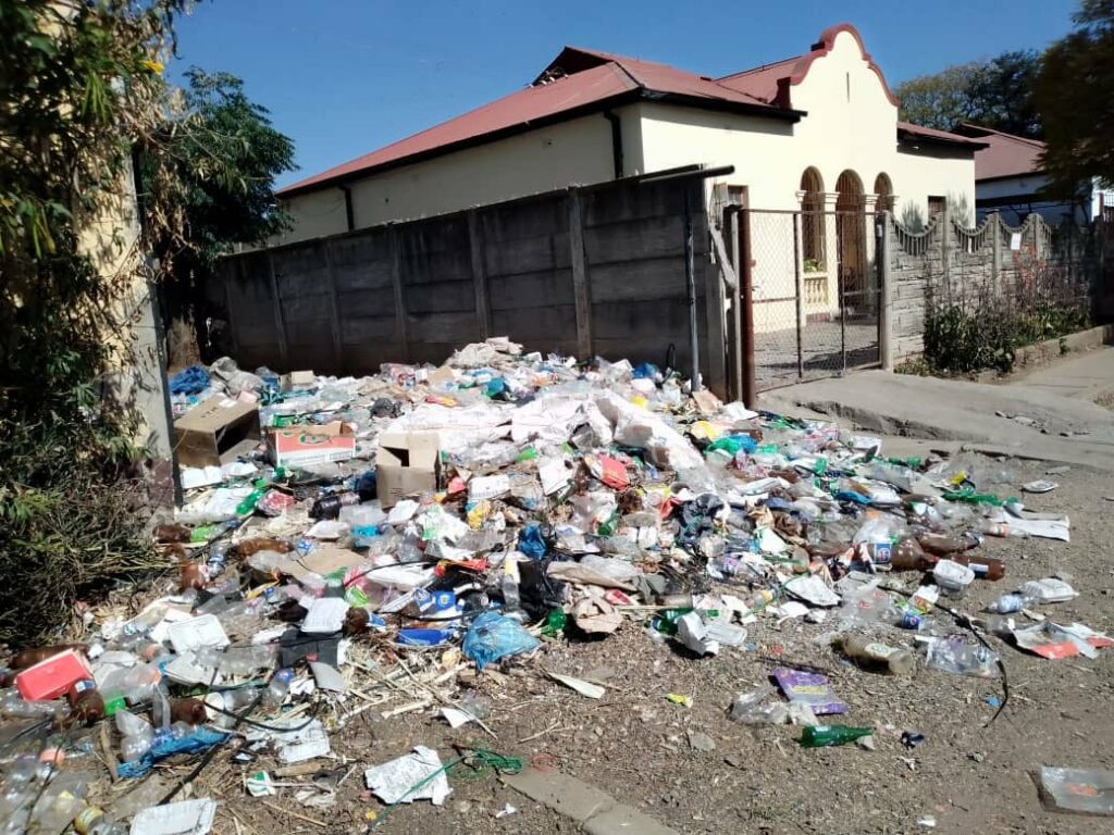 Bulawayo seeks JOC intervention to clean up city