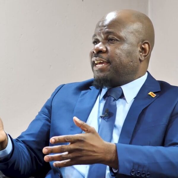 NAP rejects alignment with Zanu-PF after POLAD defections