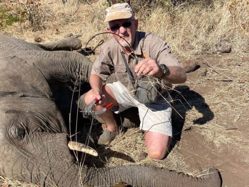 Wire snares continue to kill wildlife around Hwange, despite crackdown