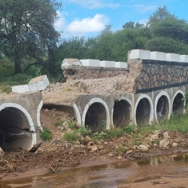 Senator calls for urgent repairs to flood-damaged roads and bridges